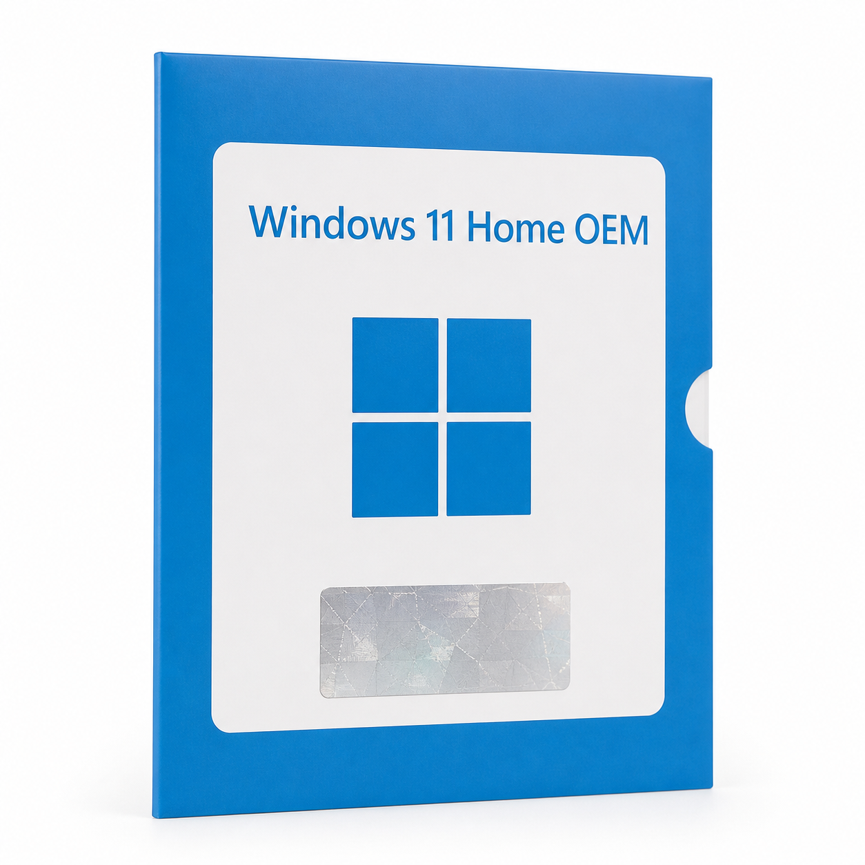 Microsoft Windows 11 Home OEM